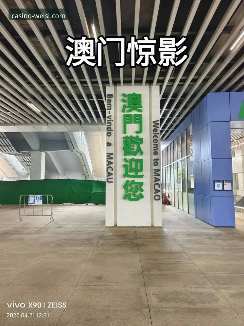 新手必看：澳门威斯人到底怎么样？从下载到注册的完整体验分享